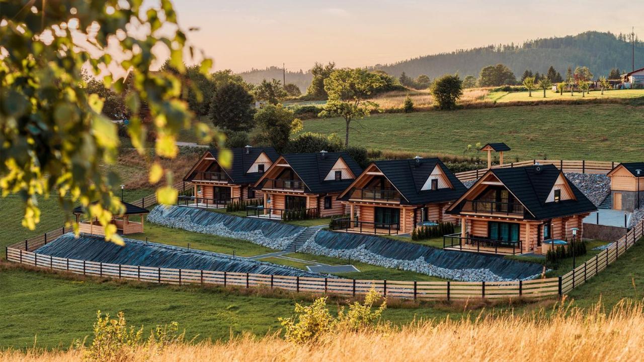 Vila Osada Miod Malina Istebna Exteriér fotografie